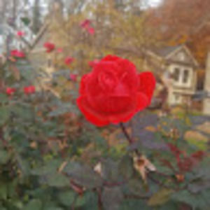 Meet your Posher, Kristin